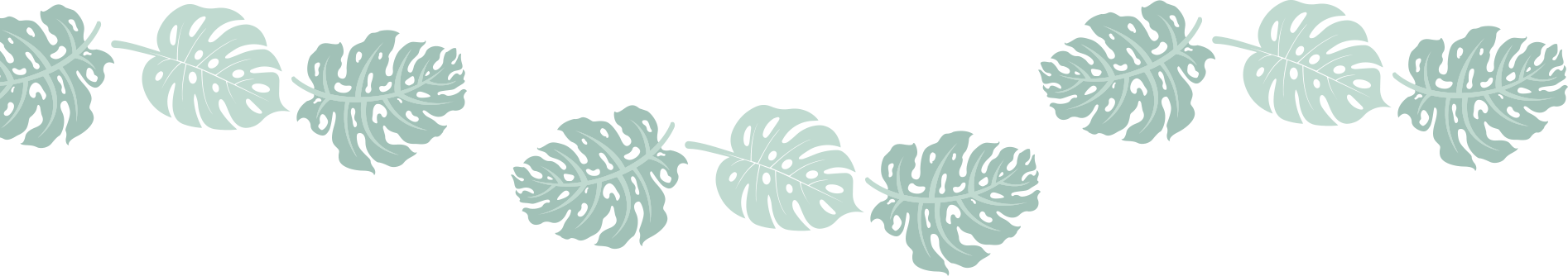 shape